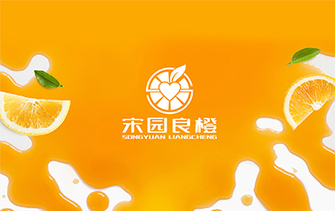 某良橙——泰安LOGO设计